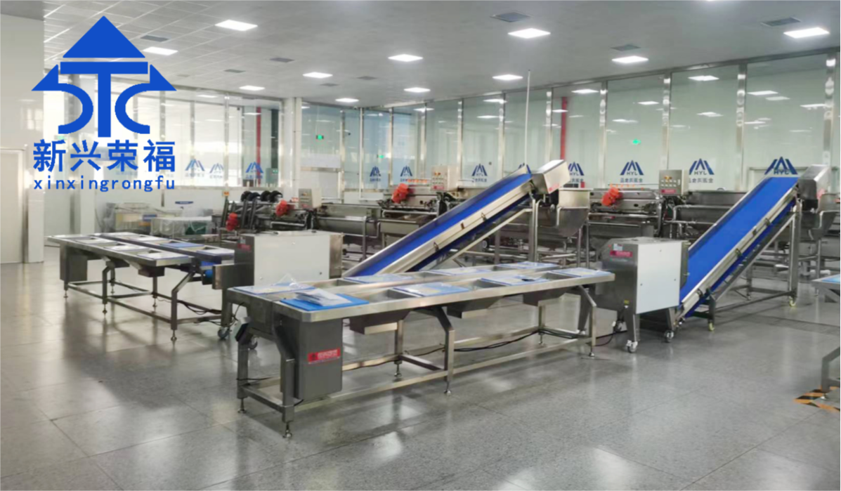 日供蔬菜20噸，新興榮福承建凈菜加工項(xiàng)目完成驗(yàn)收